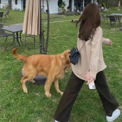 上船了各位!